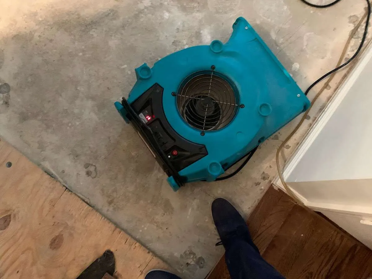 Air mover drying subfloor during Commercial Water Damage Restoration in Dove Valley